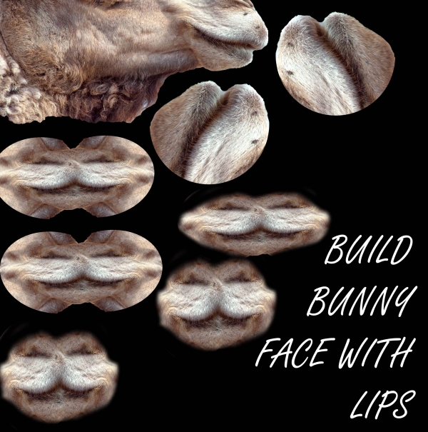 Creation of Outsmarting Bunny Foo Foo: Step 3
